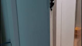Elevator Installation Process by FUJI CL