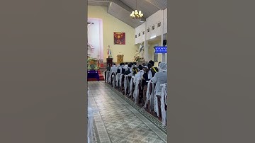 Cộng Đoàn Đọc Kinh Chuẩn Bị Bước Vào Thánh Lễ An Táng Cụ Ông Giuse Trần Văn Thán 89 Tuổi#shorts