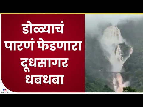 Dudhsagar Waterfall | चेन्नई एक्सप्रेस सिनेमात प्रेक्षकांना भूरळ पाडणारा दूधसागर धबधबा-tv9