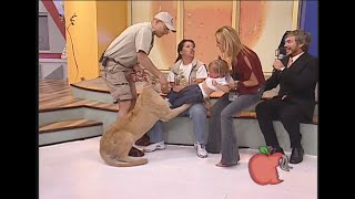 Download lagu Lion Attacks Toddler On Mexican Tv Show. Mp3 Video Mp4