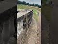 Kedleston Hall Sheep Hide