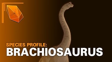 Jurassic Park Species Profile: Brachiosaurus