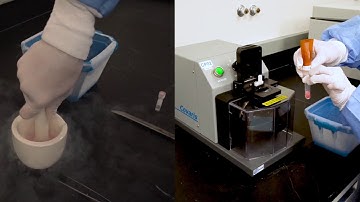 cryoPREP Dry Pulverization in Action!