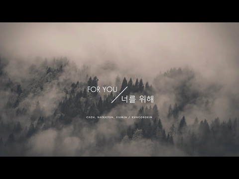 [Scarlet Heart Ryeo OST] 첸 (CHEN), 백현 (BAEKHYUN), 시우민 (XIUMIN) - 너를 위해 (For You) / Cover