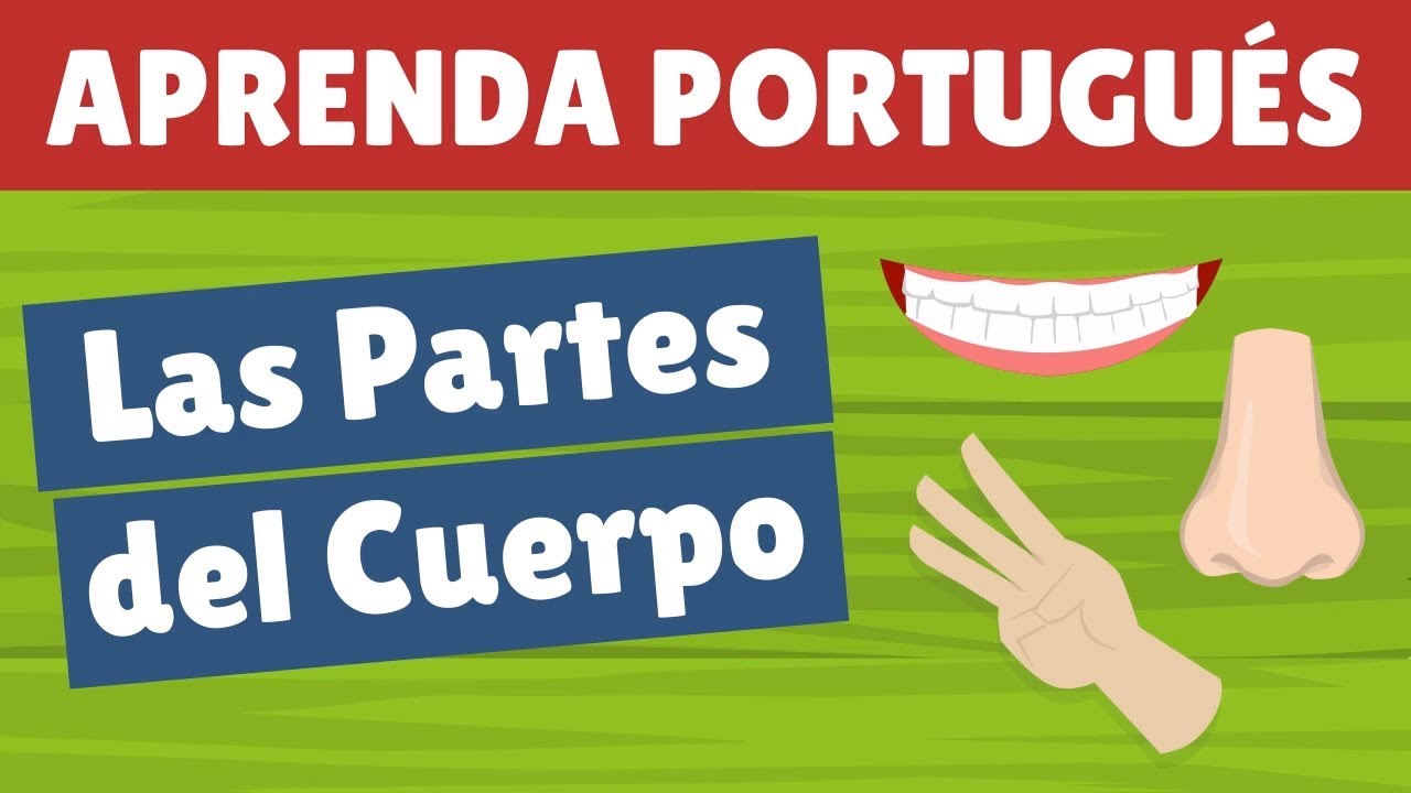 Partes del Cuerpo en Portugués - Vocabulario