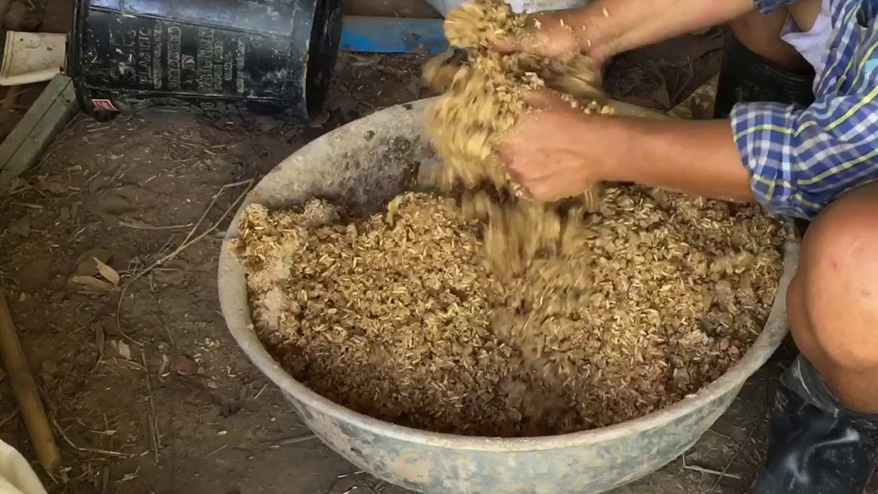สูตรผสมอาหารเป็ดไข่ที่ผมใช้อยู่ตอนนี้ครับ l วิมานดินฟาร์ม