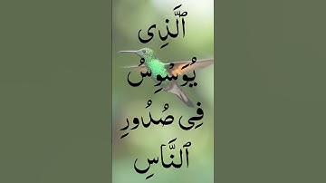 Surah An-Nas (Mankind)| Dr. Mustafa Khattab | سورة الناس