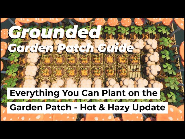 Garden Patch, Everything About It  Grounded Guide - Hot and Hazy Update  0.11 - YouTube
