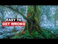 Landscape photography pov  snow covered forest in new zealand