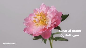 سورة الماعون  surat al-maun  | بصوت القارئ حسام الدين عبادي