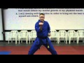 Learn the basic karate blocks in this video.