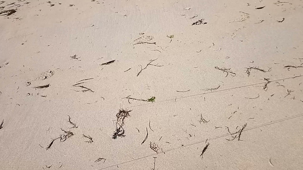 tuto décollage aile de traction 2 lignes