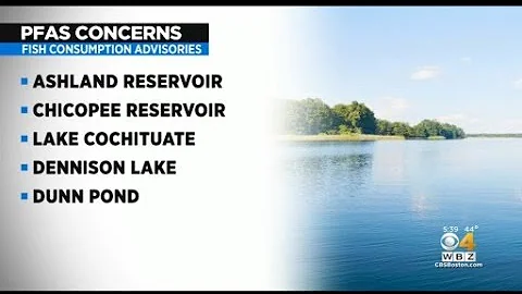 Fish consumption advisories issued for 13 Mass. state parks