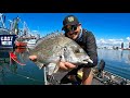 MOST EPIC BREAM FISHING | Gold Coast Broadwater.