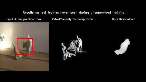 cat 2 - unsupervised object discovery