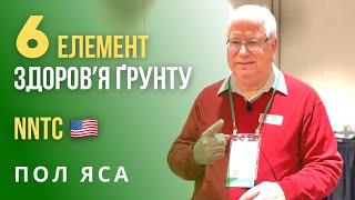 6-й елемент здоровʼя ґрунту | Що робити, якщо немає 5 елементу?