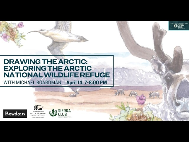 Thumbnail for Drawing the Arctic: Exploring the Arctic National Wildlife Refuge with Michael Boardman