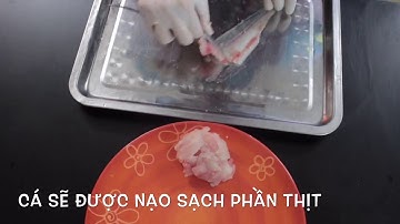 Quy trình nạo chả cá thác lác - Made by 3S - 3sachfood