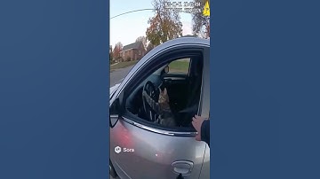 cat escapes police #sora2 #sora #ai #police #policechase #funny #bodycam #footage #cat #kitten