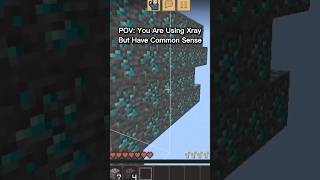 POV: You Are Using Xray But Have Common Sense #shorts #minecraft