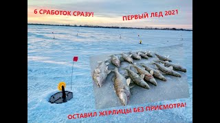 Зимняя рыбалка 2021! 6 СРАБОТОК СРАЗУ? Ловля судака на жерлицы.