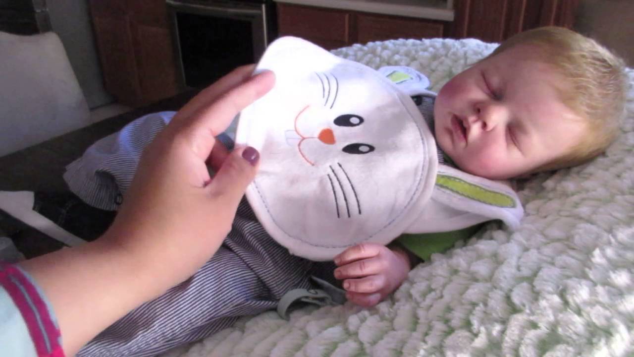 Bibs& Bottles along with updates. YouTube