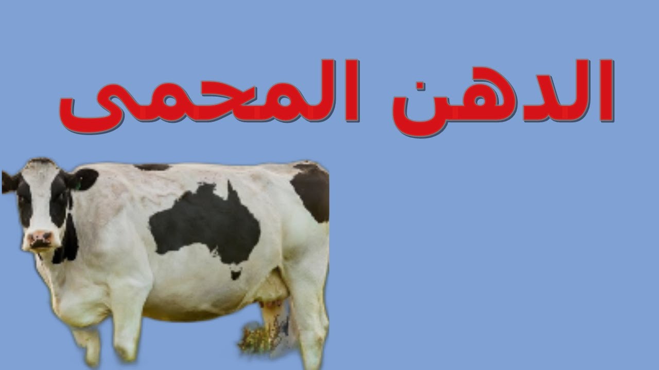 الدهن المحمى للأبقار // أ.د / أحمد سلامة