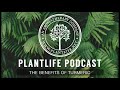 Benefits Of Turmeric Plantlife Podcast #17
