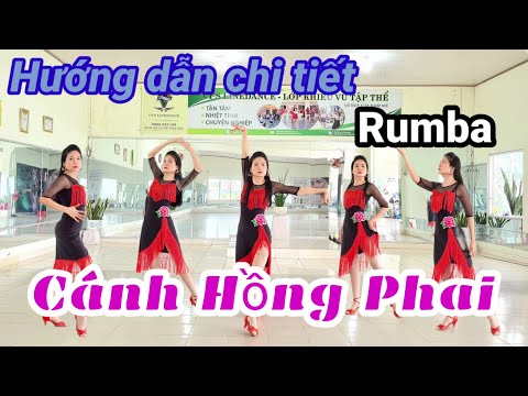 Hướng Dẫn RUMBA CÁNH HỒNG PHAI - Vy's Linedance