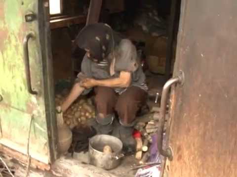 რეკომენდაცია წყალტუბოს გამგებელს ჟენია ჯიშკარიანის თავშესაფრით უზრუნველყოფასთან დაკავშირებით.