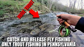 CATCH AND RELEASE FLY FISHING ONLY TROUT FISHING IN PENNSYLVANIA! #troutfishing #trout #troutfish