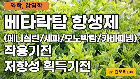 페니실린/세팔로스포린/모노박탐/카바페넴(베타락탐계 항생제) 작용원리 및 저항성 획득 기전