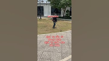Cắt cỏ nhung nhật. Dịch vụ cắt cỏ. Dịch vụ chăm sóc sân vườn. Làm vườn #0917183271