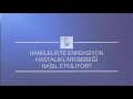 Hamilelikte enfeksiyon hastalıkları bebeği nasıl etkiliyor? - Prof. Dr. Cihat Şen