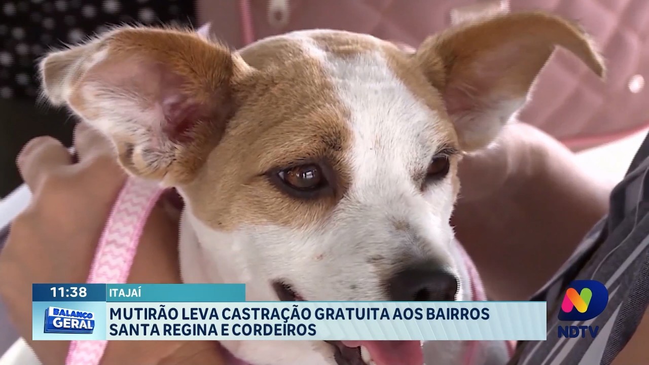Santa Regina e Cordeiros recebem ação gratuita de castração