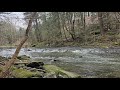 1 Hour of Calming River Sounds in Mill Creek | Peaceful Background Ambiance For Stress 🌊