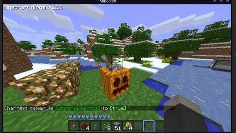 An old Minecraft alpha 1.2.6 custom server mod I helped work on
