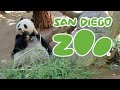 San Diego Zoo 2018