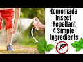 Homemade insect repellent  two ingredients directly from your garden  no chemicals and safe