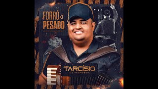 SAUDADE TEM GOSTO - Tarcísio do Acordeon