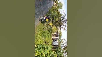 DT :5×34,5, Tull, thổ cư, cách đường nhựa, Đức Hòa thượng, khoảng 30m, sát bên,CTY, chu tex, thuộc