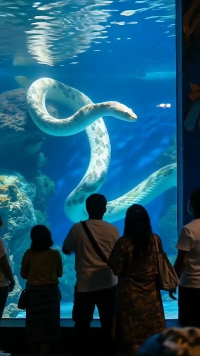 PENAMPAKAN ULAR LAUT DI DALAM AQUARIUM RAKSASA #shorts #ai #aquarium #snake