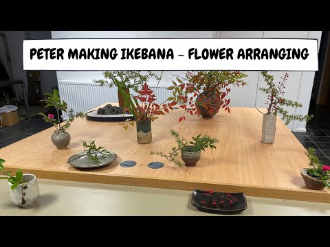 Video: Ikebana-informasjon: Dyrking av planter for Ikebana-blomsterarrangement
