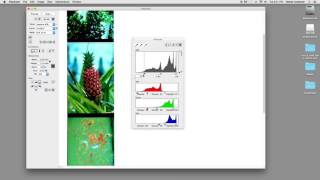 Learn Imacon Scanning 10 Minutes