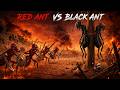 Black Ant Colony vs Red Ant Weapons Army | Full Cinematic AI Battle | Ant War Episode 2