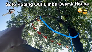 Celebrity Solo Rigging Tree Work Profile