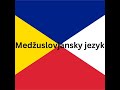 230 - Язык, который понимают все славяне - межславянский язык
