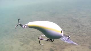 Strike King 10XD Underwater Footage
