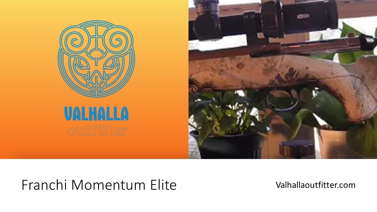 Franchi Momentum Elite vs Benelli Lupo