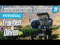 LS22 Trauben & Oliven - So platzierst, pflegst und erntest du Trauben & Oliven im LS22